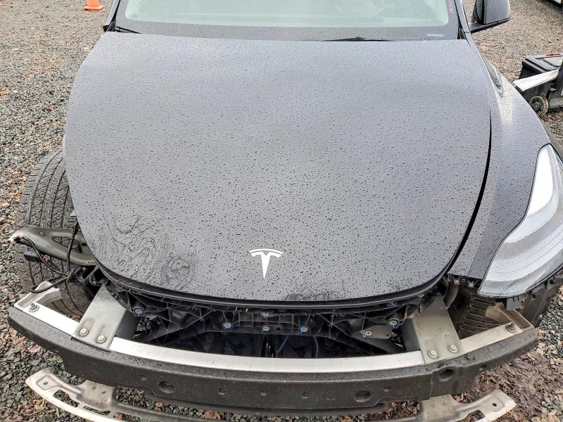 Aukcja sprzedaży 2025 Tesla Model Y, vin: 7SAYGAEE9SF238185, numer aukcji: 79806715