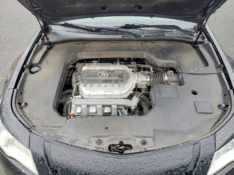 46775656 :رقم المزاد ، 19UUA8F24AA021274 vin ، 2010 Acura Tl مزاد بيع