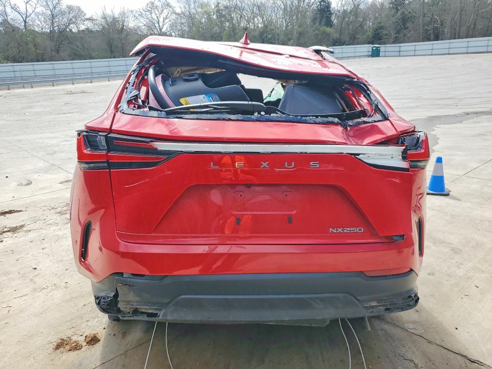 41751676 :رقم المزاد ، 2T2ADCAZ6RC006696 vin ، 2024 Lexus Nx 250 مزاد بيع