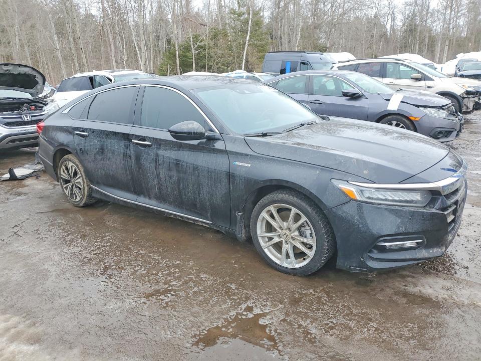 Продаж на аукціоні авто 2020 Honda Accord, vin: 1HGCV3F90LA800058, номер лоту: 79941935