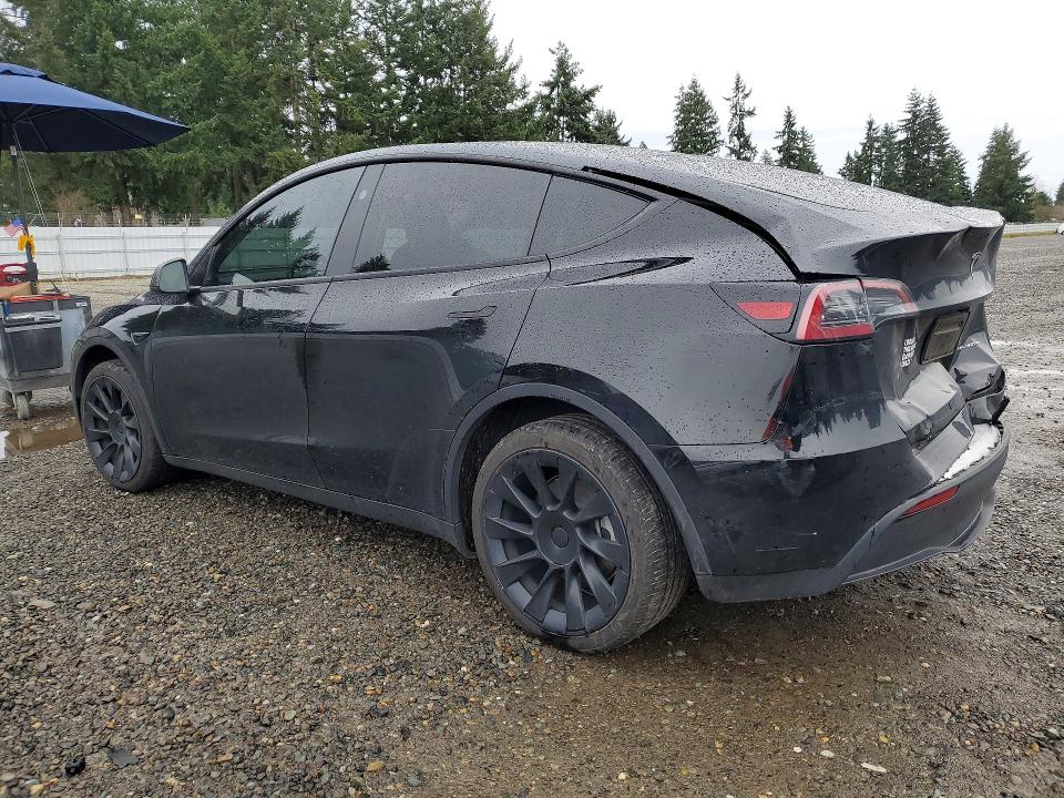 Aukcja sprzedaży 2024 Tesla Model Y, vin: 7SAYGDEE3RF075884, numer aukcji: 41976716