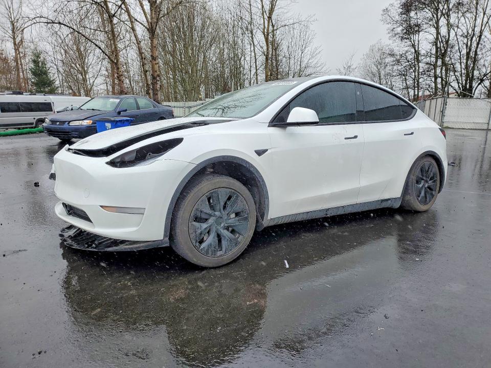 Продаж на аукціоні авто 2024 Tesla Model Y, vin: 7SAYGAEE4RF124542, номер лоту: 46072066