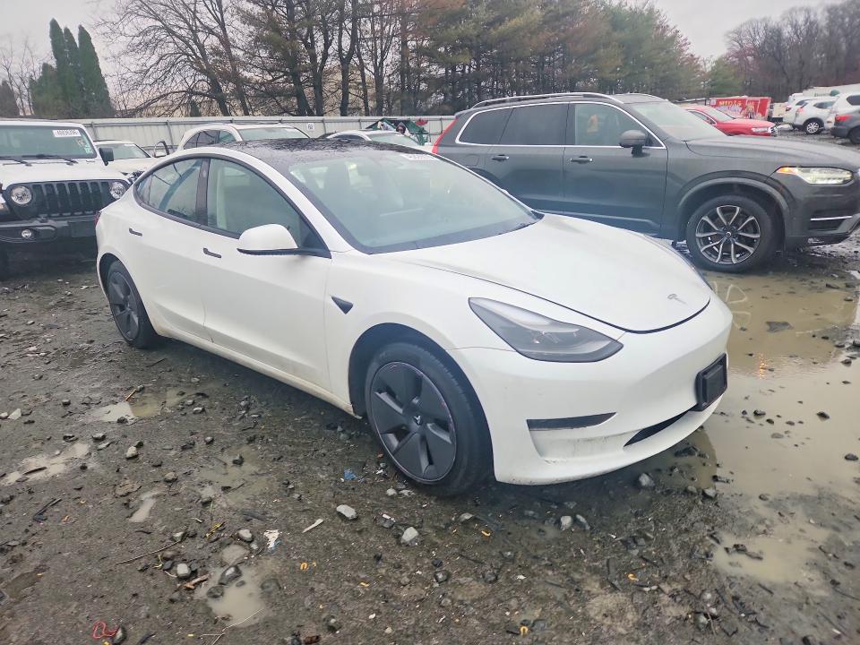 2023 Tesla Model 3 მანქანა იყიდება აუქციონზე, vin: 5YJ3E1EA8PF542061, აუქციონის ნომერი: 45826076