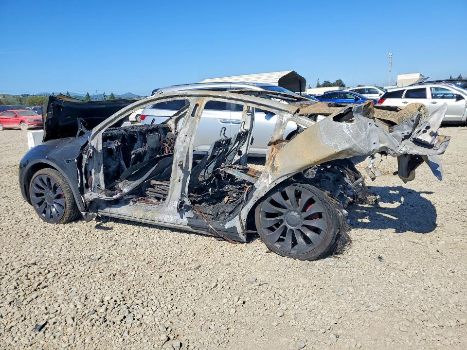 Продаж на аукціоні авто 2024 Tesla Model Y, vin: 7SAYGDEFXRF080346, номер лоту: 41652446