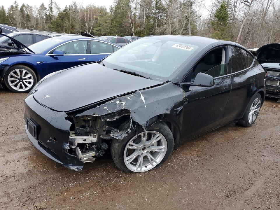42049306 :رقم المزاد ، 7SAYGDEE6RF042054 vin ، 2024 Tesla Model Y مزاد بيع