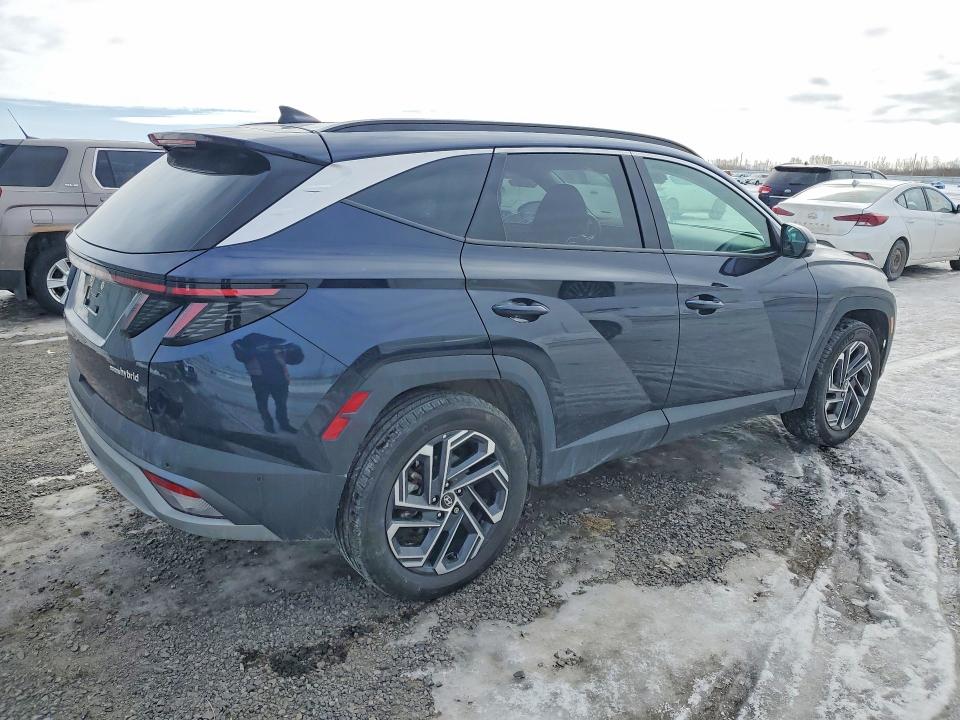 79209865 :رقم المزاد ، KM8JCDD18SU253662 vin ، 2025 Hyundai Tucson Hybrid مزاد بيع