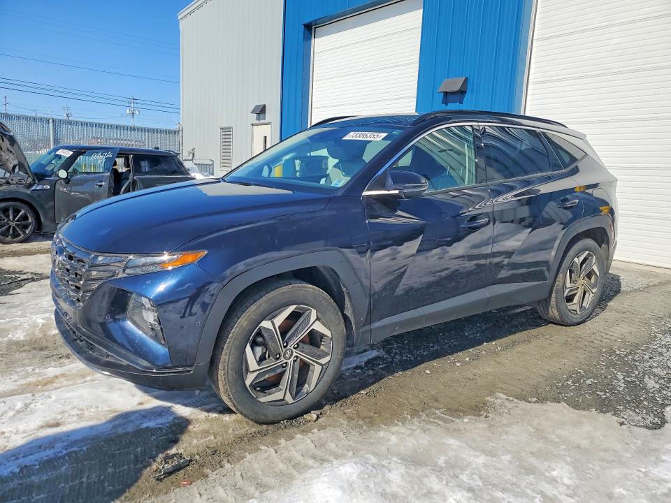 Продажа на аукционе авто 2024 Hyundai Tucson, vin: KM8JCCD14RU223241, номер лота: 73386355
