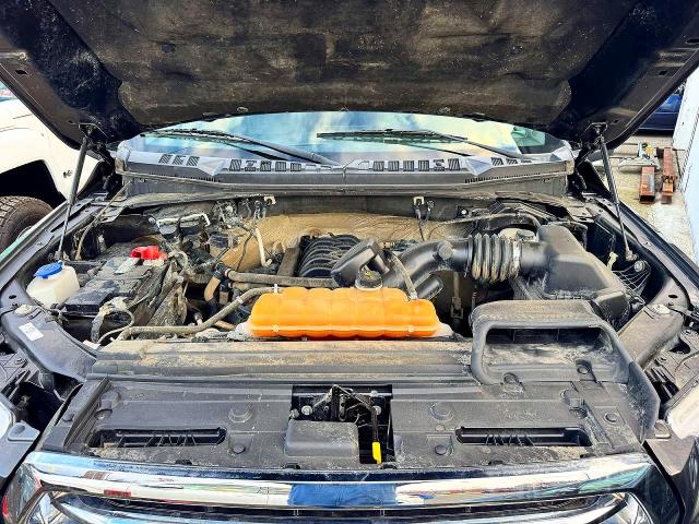 45569356 :رقم المزاد ، 1FTEW1EF5FFB93209 vin ، 2015 Ford F150 مزاد بيع
