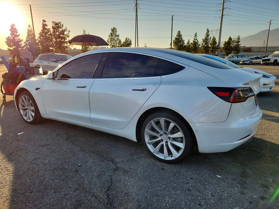 2019 Tesla 3 მანქანა იყიდება აუქციონზე, vin: 5YJ3E1EA1KF509296, აუქციონის ნომერი: 79739835