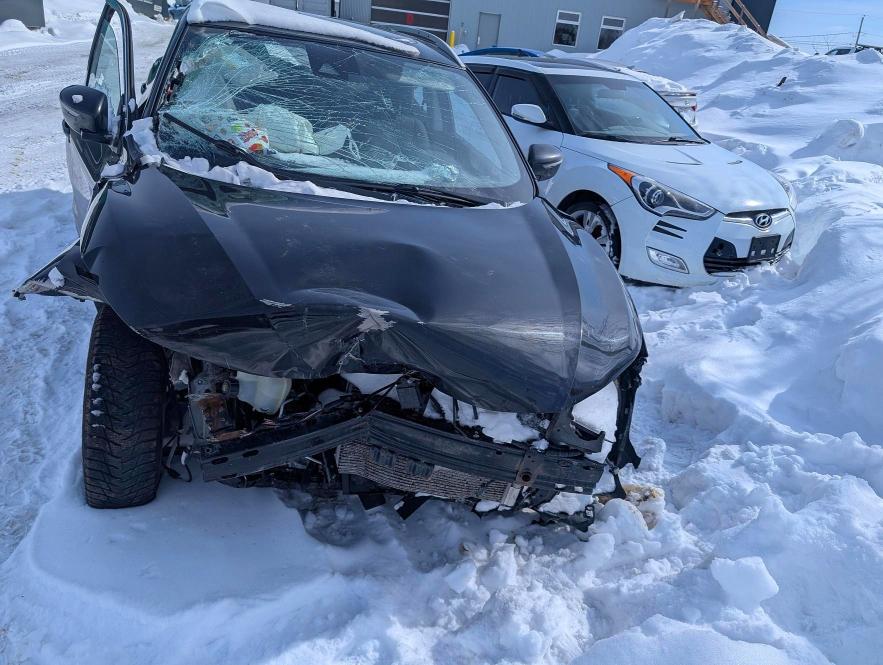 2020 Nissan Qashqai მანქანა იყიდება აუქციონზე, vin: JN1BJ1CW0LW377556, აუქციონის ნომერი: 75754685