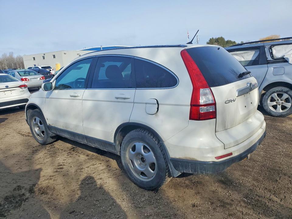 46822806 :رقم المزاد ، 5J6RE4H51BL800334 vin ، 2011 Honda Cr-v مزاد بيع