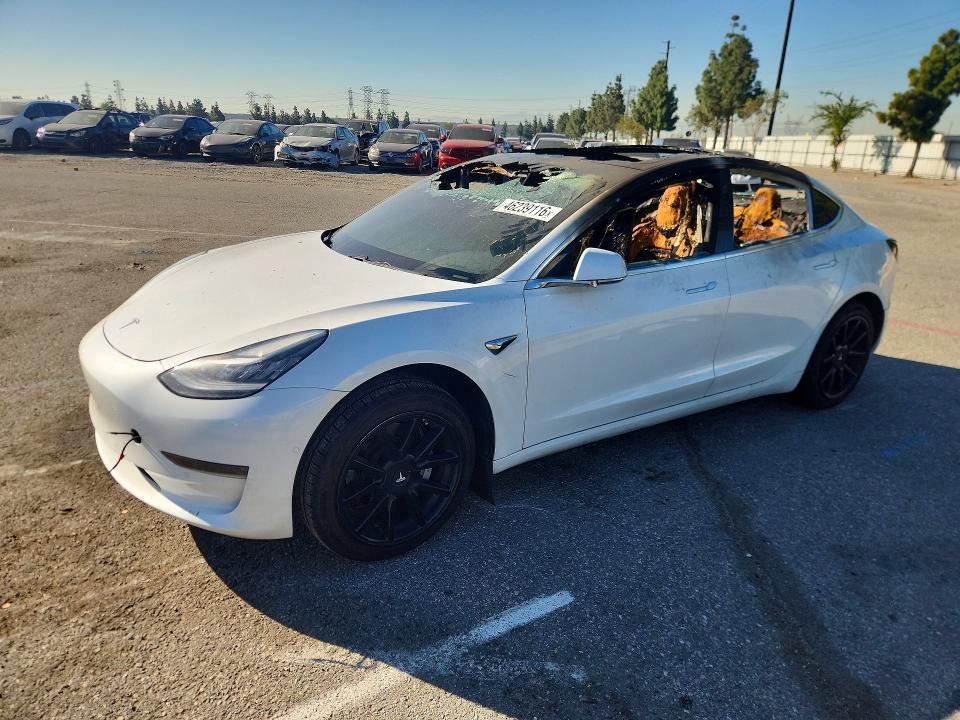 46239116 :رقم المزاد ، 5YJ3E1EA4KF482496 vin ، 2019 Tesla Model 3 مزاد بيع