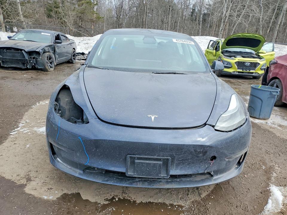 45764056 :رقم المزاد ، 5YJ3E1EA8PF407257 vin ، 2023 Tesla Model 3 مزاد بيع