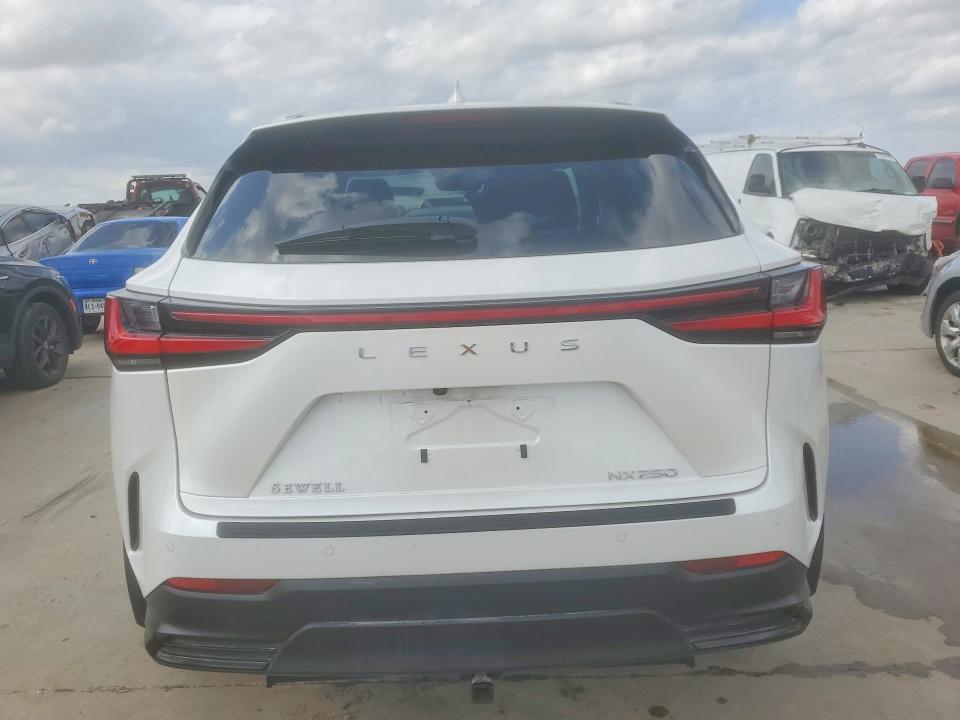 Продаж на аукціоні авто 2025 Lexus Nx, vin: 2T2GDCAZ3SC030180, номер лоту: 79536835