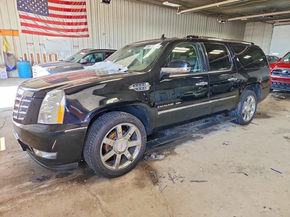 Продажа на аукционе авто 2011 Cadillac Escalade, vin: 1GYS4JEF6BR282380, номер лота: 46677186