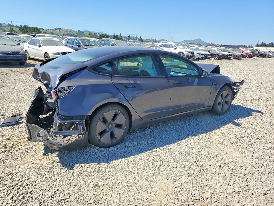 46410396 :رقم المزاد ، 5YJ3E1EA8PF619902 vin ، 2023 Tesla Model 3 مزاد بيع