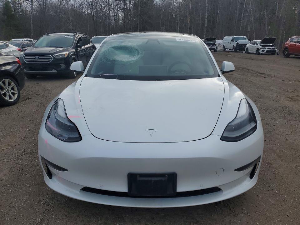 41595926 :رقم المزاد ، 5YJ3E1EA3MF031983 vin ، 2021 Tesla Model 3 مزاد بيع