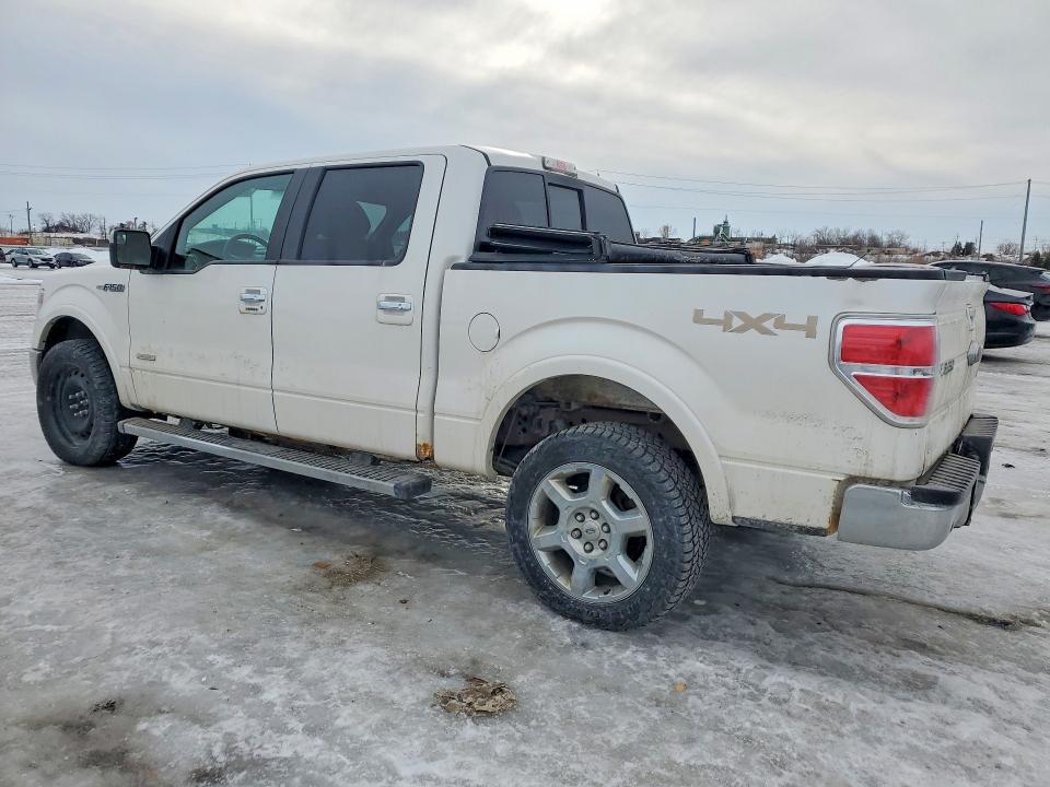 41700566 :رقم المزاد ، 1FTFW1ET1EFA33045 vin ، 2014 Ford F150 مزاد بيع