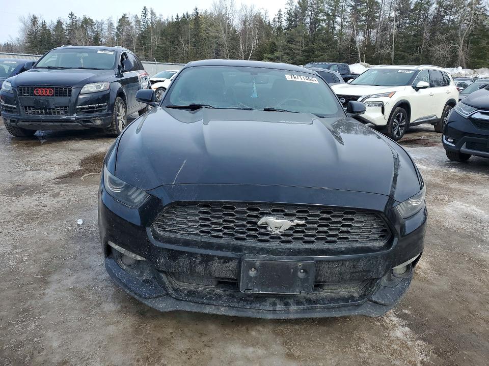 Продаж на аукціоні авто 2017 Ford Mustang, vin: 1FA6P8THXH5303510, номер лоту: 79711465