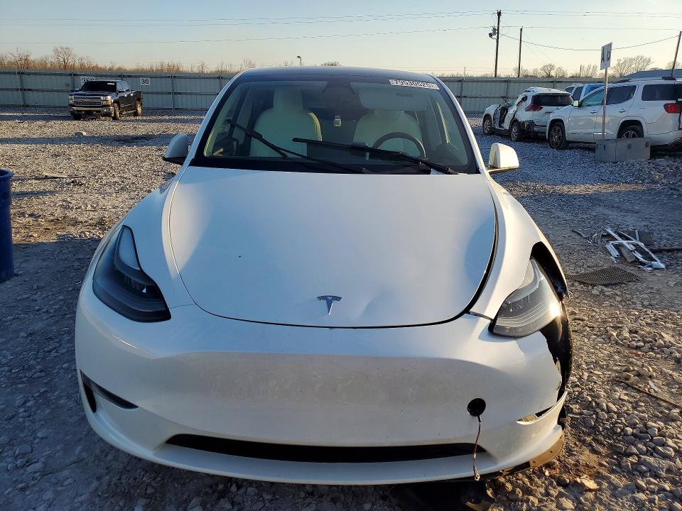Aukcja sprzedaży 2023 Tesla Model Y, vin: 7SAYGDEE5PF661242, numer aukcji: 79530525