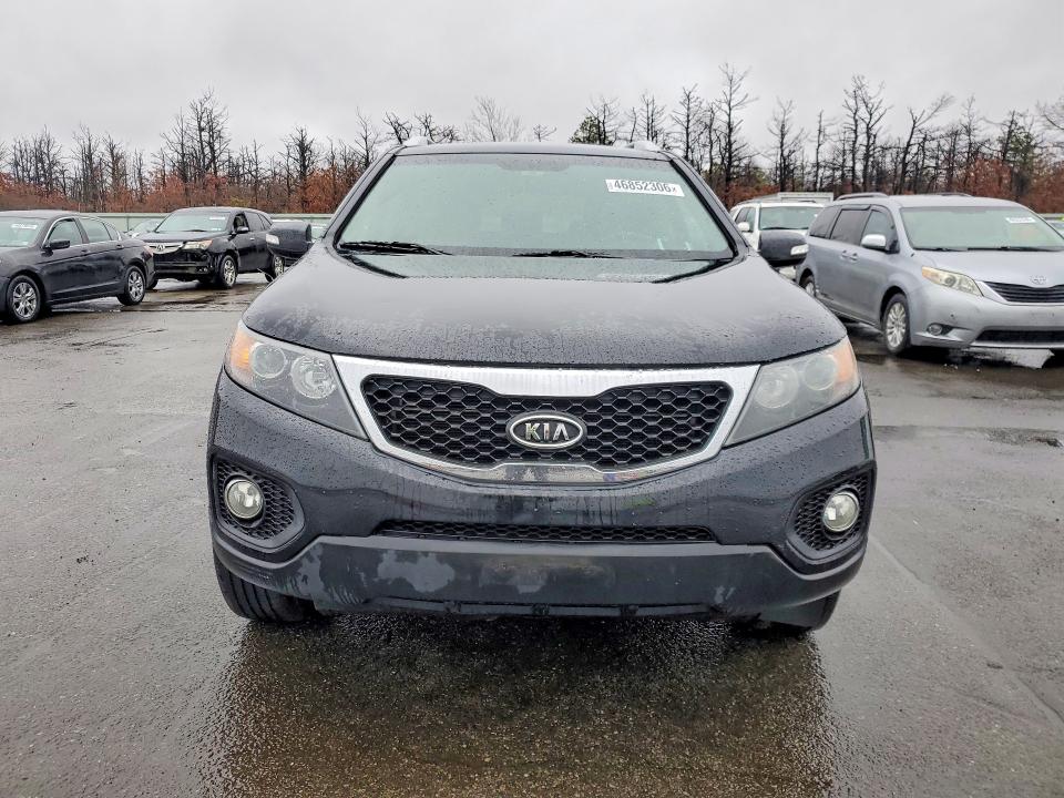 Продажа на аукционе авто 2013 Kia Sorento, vin: 5XYKT4A69DG398951, номер лота: 46852306