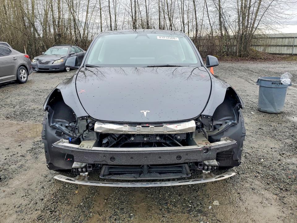 41812606 :رقم المزاد ، 7SAYGAEE3RF036372 vin ، 2024 Tesla Model Y مزاد بيع
