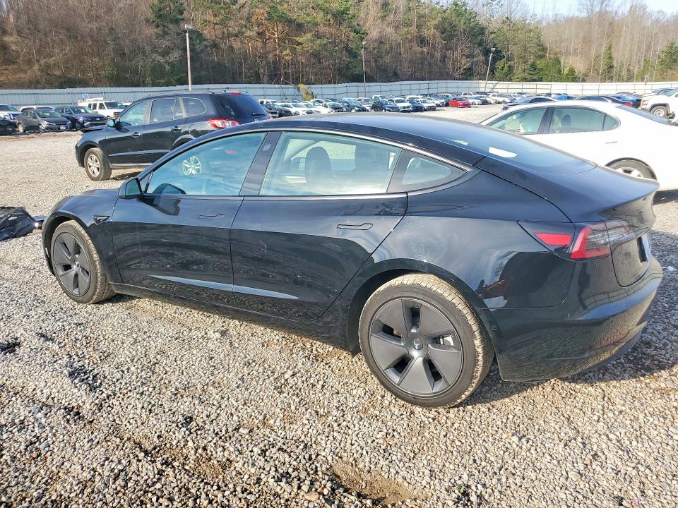 Продажа на аукционе авто 2021 Tesla Model 3, vin: 5YJ3E1EA2MF051318, номер лота: 79885445
