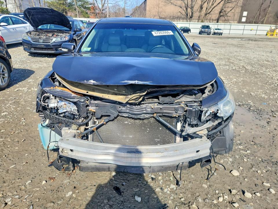 Продажа на аукционе авто 2009 Acura Tl, vin: 19UUA965X9A005205, номер лота: 47283966