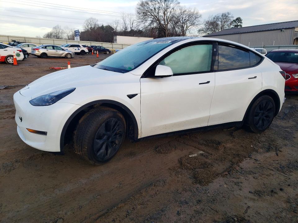 Aukcja sprzedaży 2024 Tesla Model Y, vin: 7SAYGAEEXRF206646, numer aukcji: 79816485