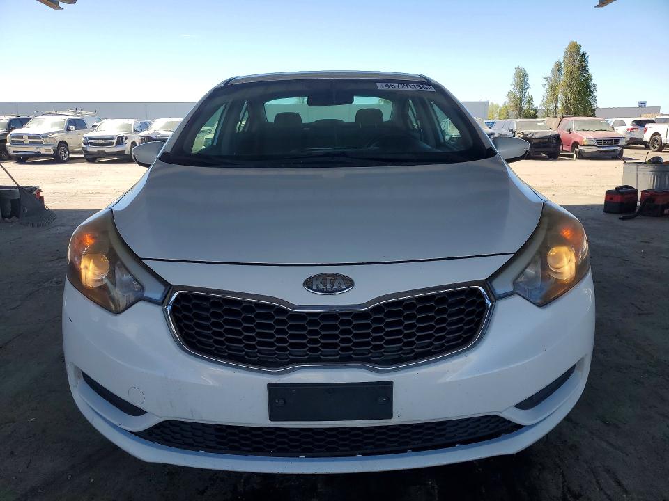 Auction sale of the 2014 Kia Forte, vin: KNAFK4A60E5075951, lot number: 46728136