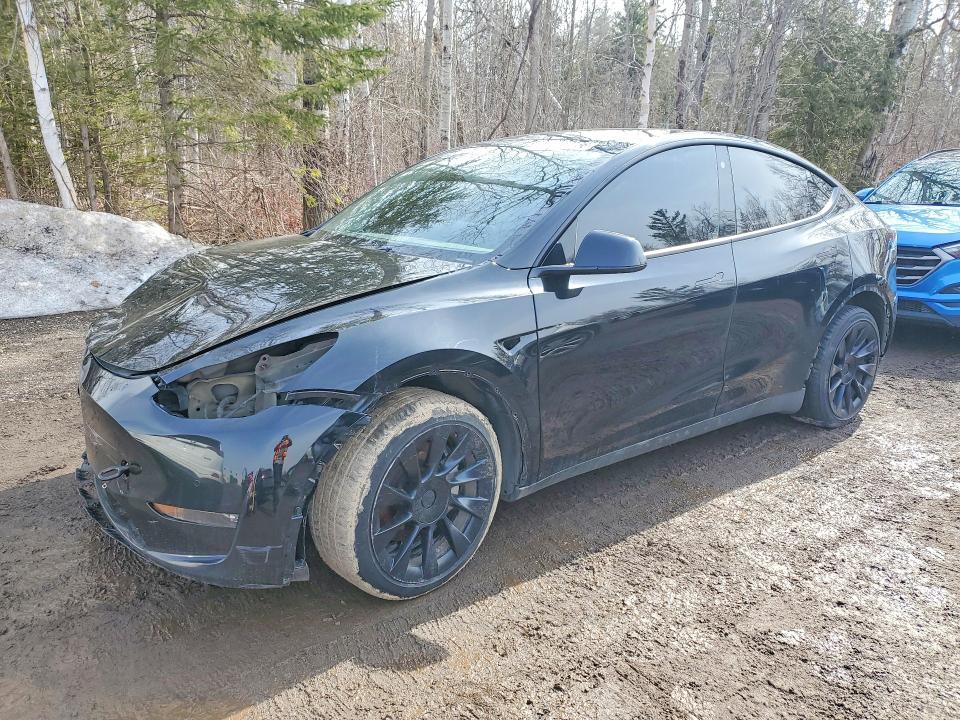 Продаж на аукціоні авто 2023 Tesla Model Y, vin: 7SAYGDEE7PF586415, номер лоту: 45818266