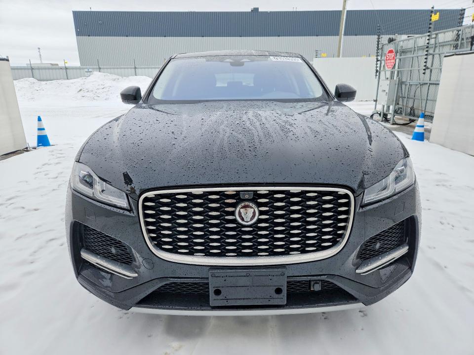 Продаж на аукціоні авто 2021 Jaguar F-pace, vin: SADCJ2EX9MA682313, номер лоту: 79392995