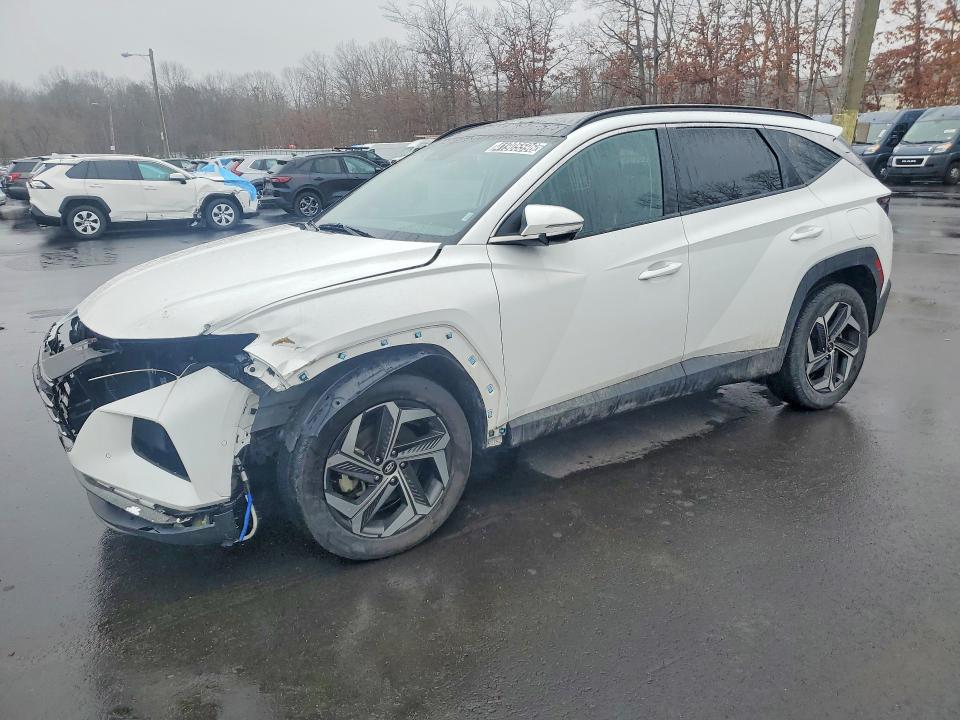 2023 Hyundai Tucson მანქანა იყიდება აუქციონზე, vin: 5NMJECAE0PH203529, აუქციონის ნომერი: 41905596