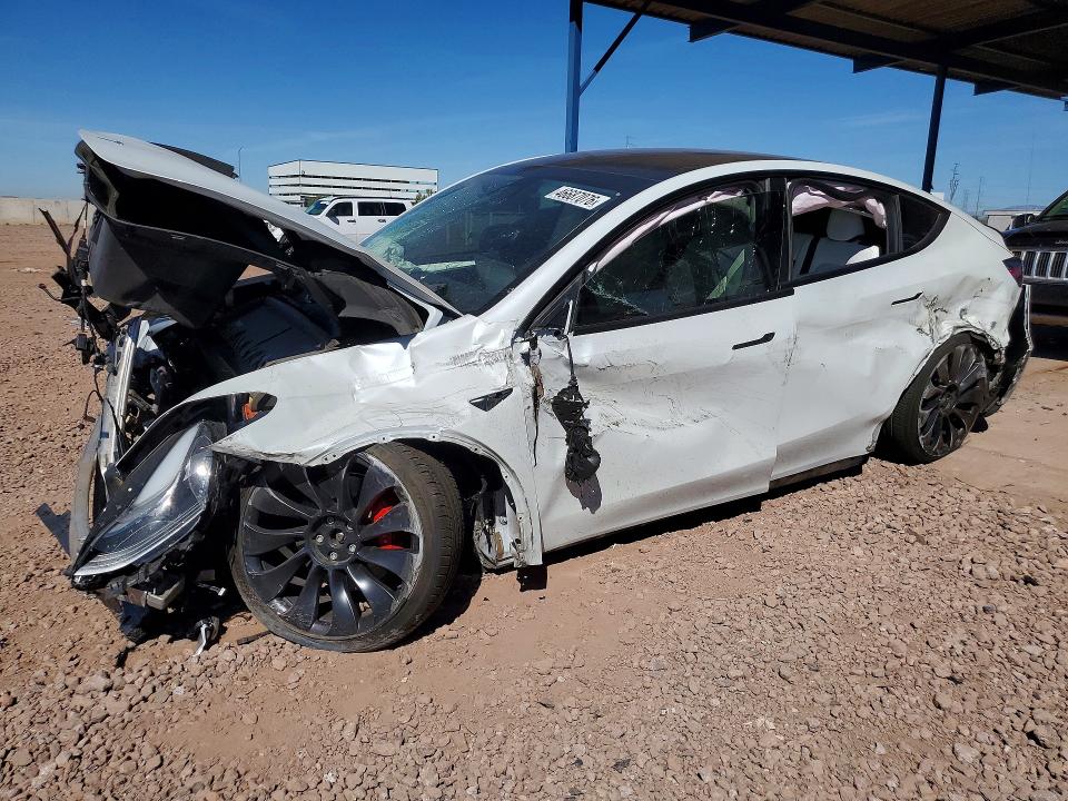 Продаж на аукціоні авто 2023 Tesla Model Y, vin: 7SAYGDEF5PF738880, номер лоту: 46687076