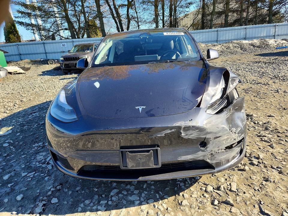 Продажа на аукционе авто 2025 Tesla Model Y, vin: 7SAYGDED2SF271215, номер лота: 41942486