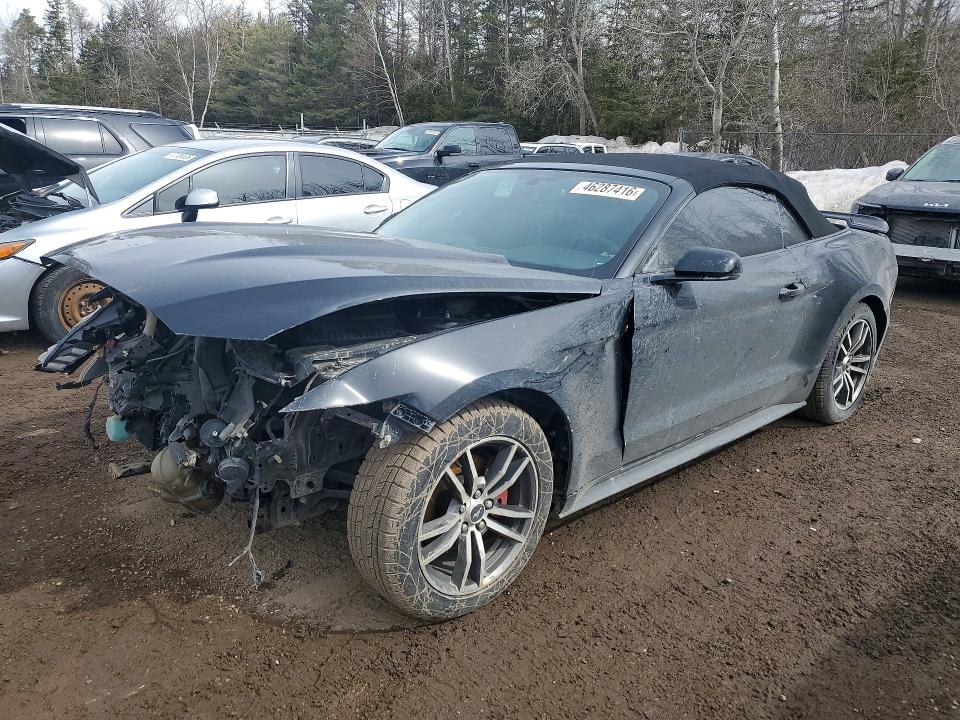 46287416 :رقم المزاد ، 1FATP8UH1H5204141 vin ، 2017 Ford Mustang مزاد بيع
