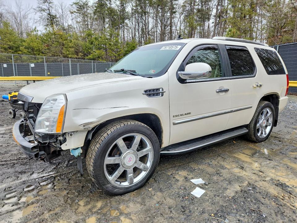 Продаж на аукціоні авто 2011 Cadillac Escalade, vin: 1GYS4BEF8BR156771, номер лоту: 79710575