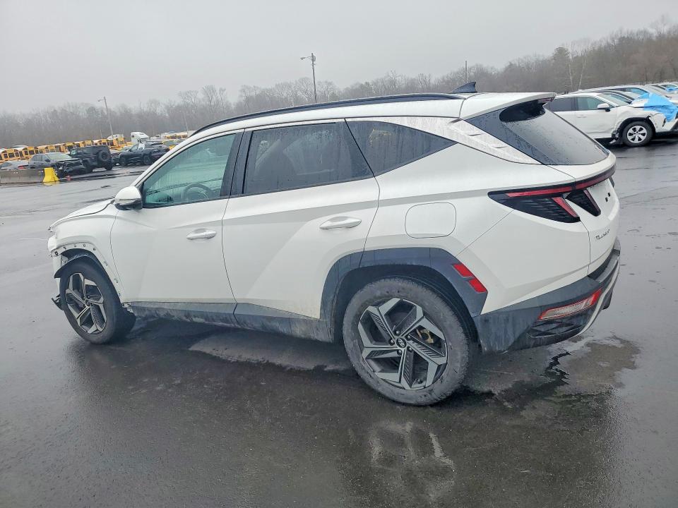 41905596 :رقم المزاد ، 5NMJECAE0PH203529 vin ، 2023 Hyundai Tucson مزاد بيع