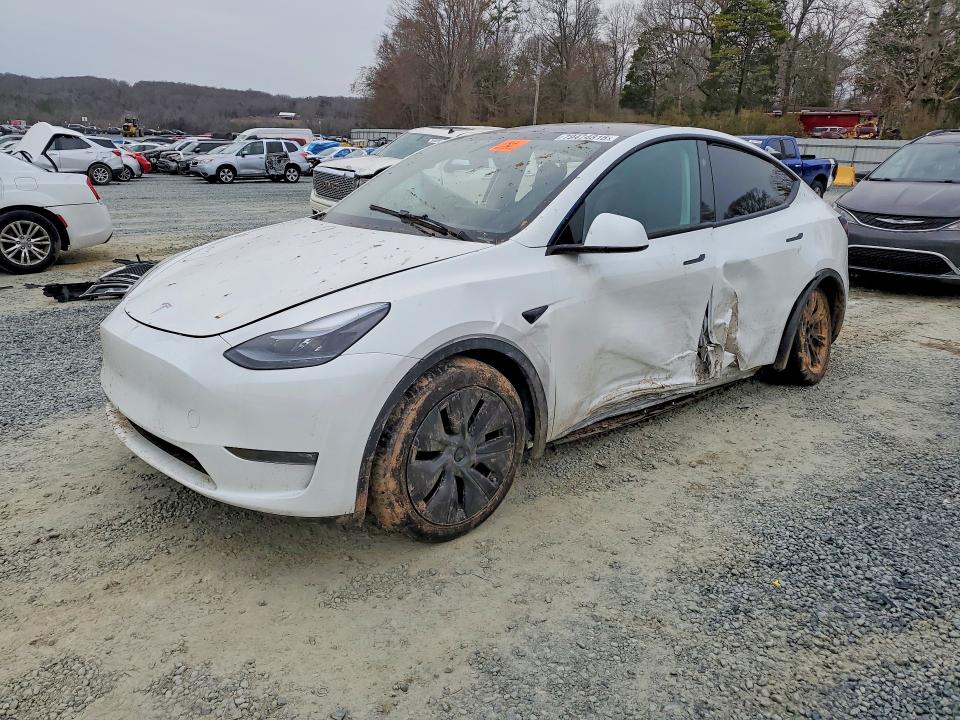 Продаж на аукціоні авто 2024 Tesla Model Y, vin: 7SAYGAEE8RF191631, номер лоту: 79474815