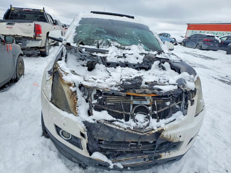 Продаж на аукціоні авто 2010 Cadillac Srx, vin: 3GYFNFE48AS577082, номер лоту: 46648956