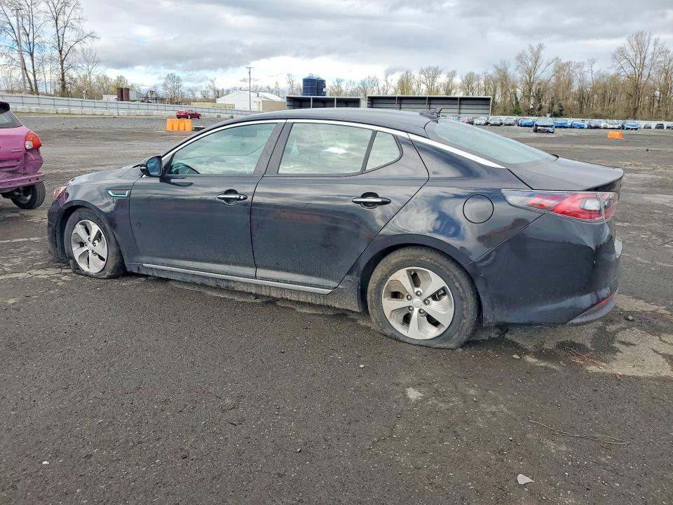 46662156 :رقم المزاد ، KNAGM4AD1G5095836 vin ، 2016 Kia Optima Hybrid مزاد بيع