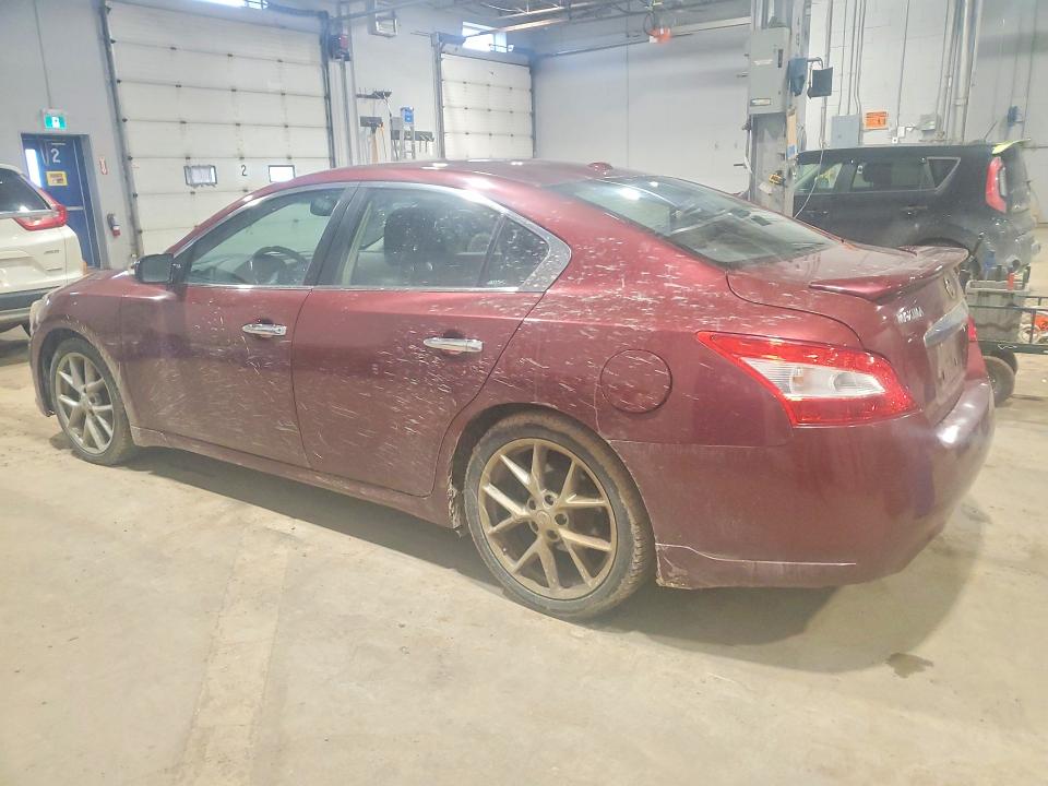 48125676 :رقم المزاد ، 1N4AA5AP8BC828170 vin ، 2011 Nissan Maxima مزاد بيع