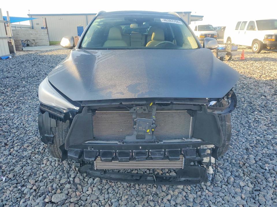 Auction sale of the 2021 Infiniti Qx50 Luxe Fwd, vin: 3PCAJ5BA9MF126675, lot number: 46383766