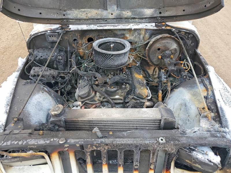 Продажа на аукционе авто 1995 Jeep Wrangler / Yj, vin: 1J4FY29S2SP207884, номер лота: 46021586