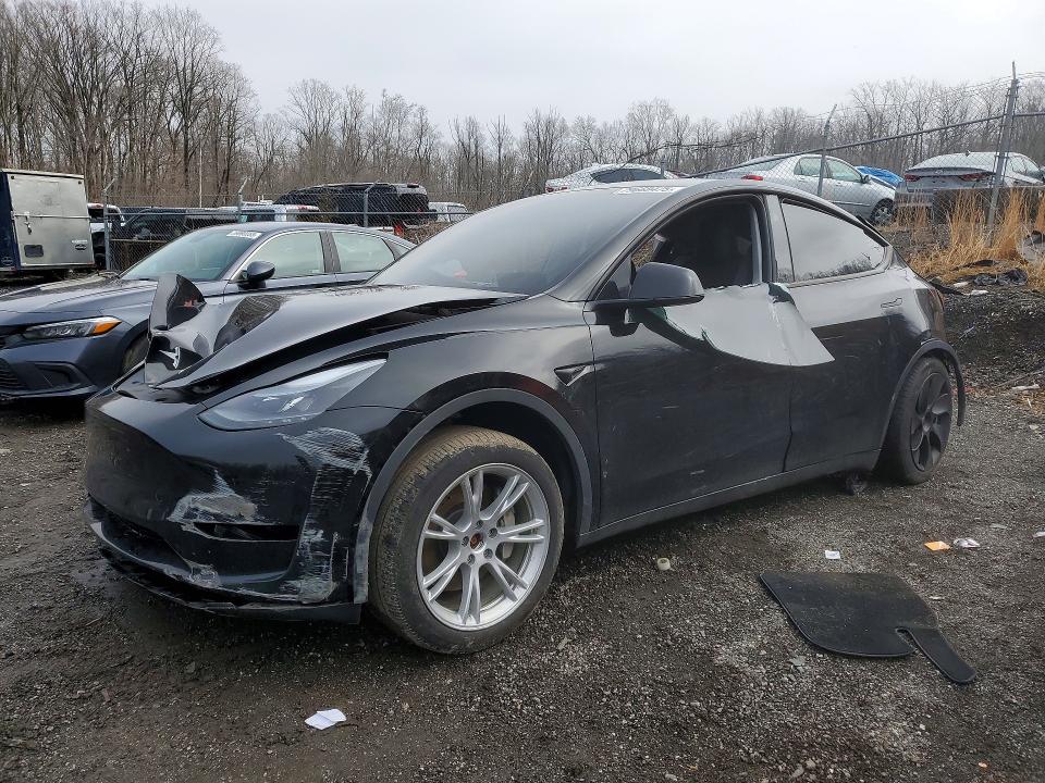 Aukcja sprzedaży 2024 Tesla Model Y, vin: 7SAYGDEE4RA227507, numer aukcji: 79669475