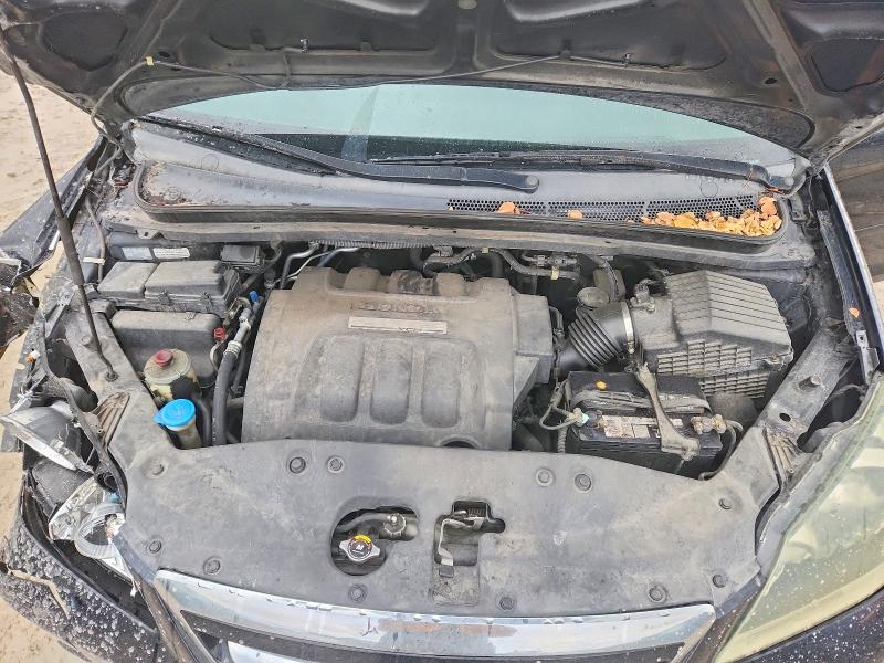Продажа на аукционе авто 2007 Honda Odyssey, vin: 5FNRL38697B141363, номер лота: 41673696