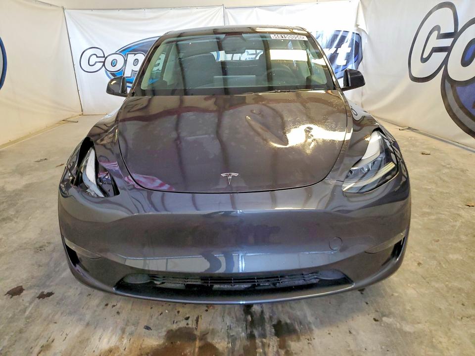 Продажа на аукционе авто 2025 Tesla Model Y, vin: 7SAYGDEE0SA366264, номер лота: 48190056