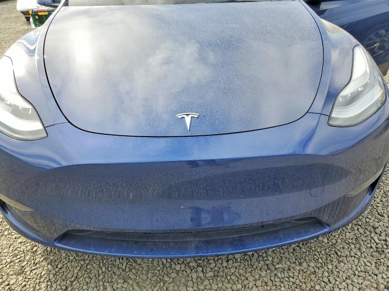 2021 Tesla Model Y მანქანა იყიდება აუქციონზე, vin: 5YJYGDEE0MF114923, აუქციონის ნომერი: 79497715