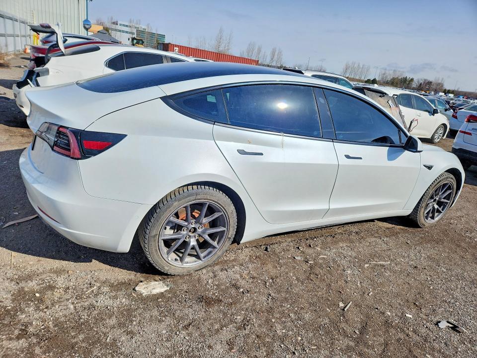 Продаж на аукціоні авто 2021 Tesla Model 3, vin: 5YJ3E1EA3MF856941, номер лоту: 46189726