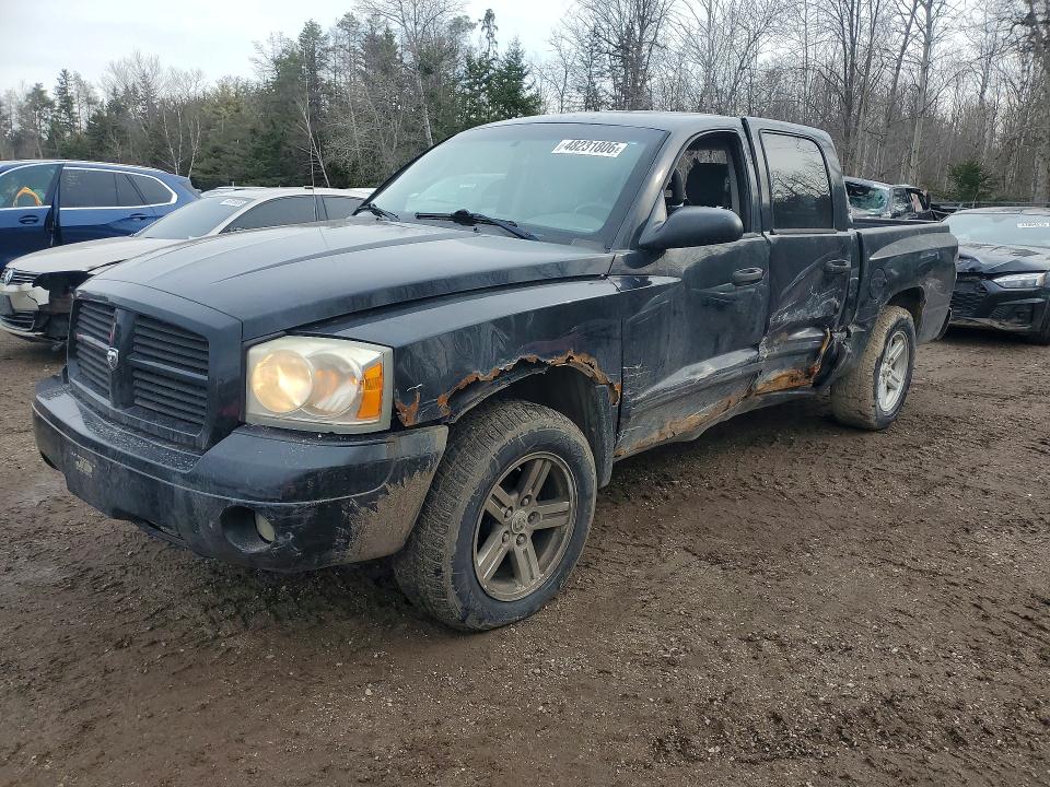 2007 Dodge Dakota მანქანა იყიდება აუქციონზე, vin: 1D7HE48K87S108484, აუქციონის ნომერი: 48231806
